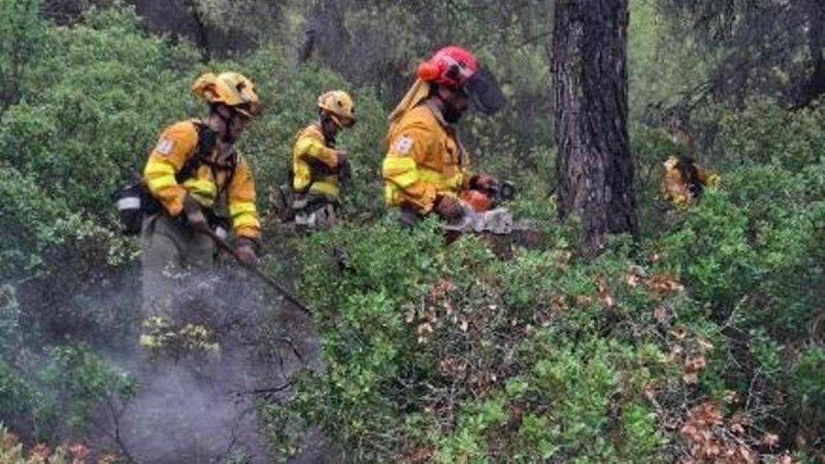 Varios bomberos trabajan sobre el terreno para extinguir el conato de incendio en Cehegín.