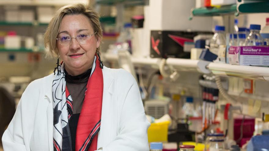 La científica Ángela Nieto recibirá el 21 de febrero el premio Importante de INFORMACIÓN por su constante lucha contra el cáncer