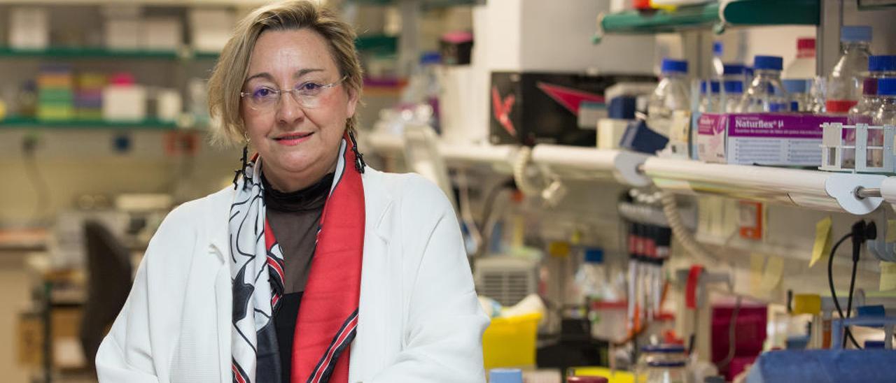 La científica Ángela Nieto recibirá el 21 de febrero el premio Importante de INFORMACIÓN por su constante lucha contra el cáncer