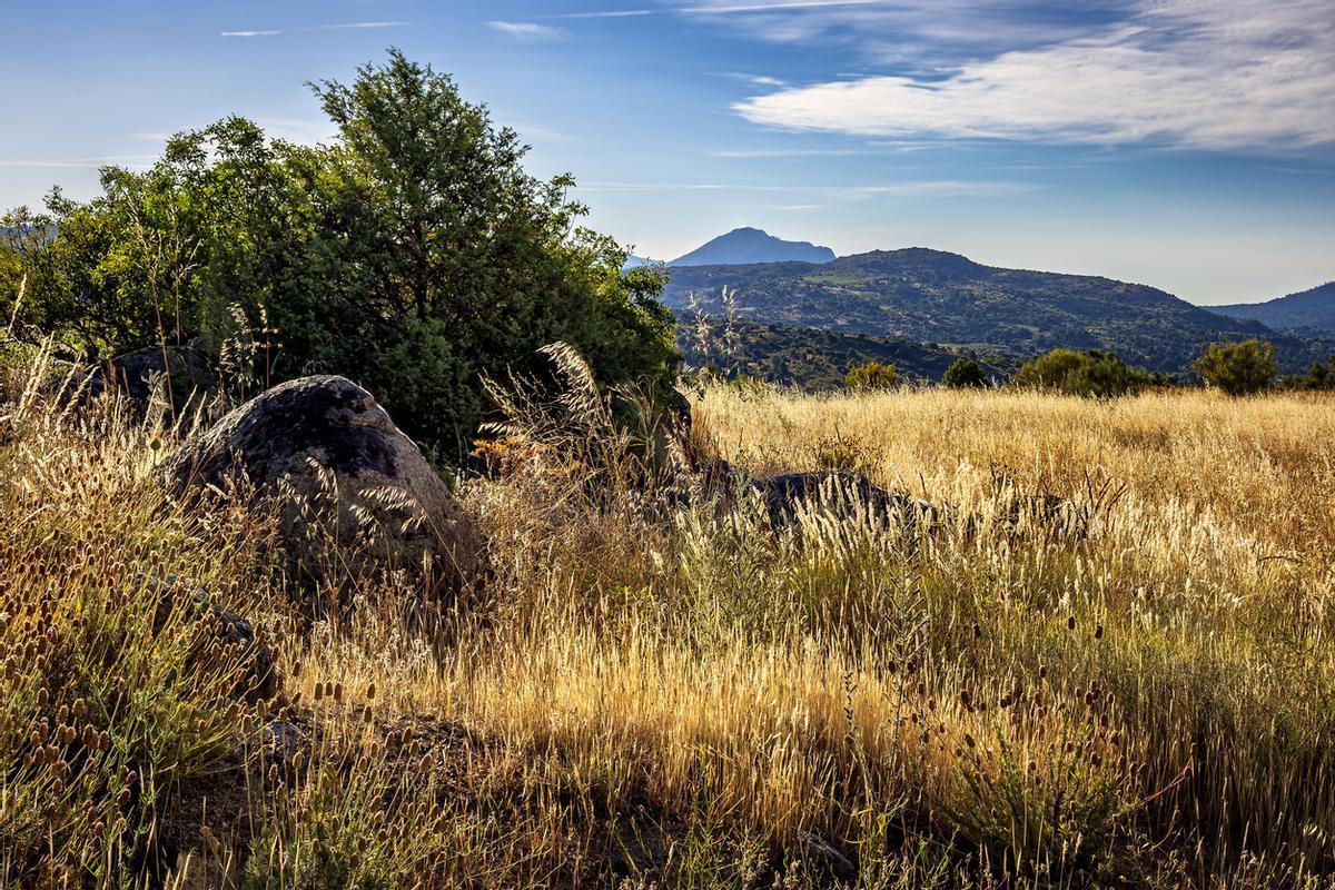 Campo en Cebreros y Sierra de Gredos, al fondo. Avila.
