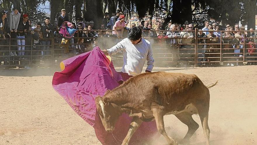 El Casco Antiguo celebra en la alcazaba la vaquilla de san José