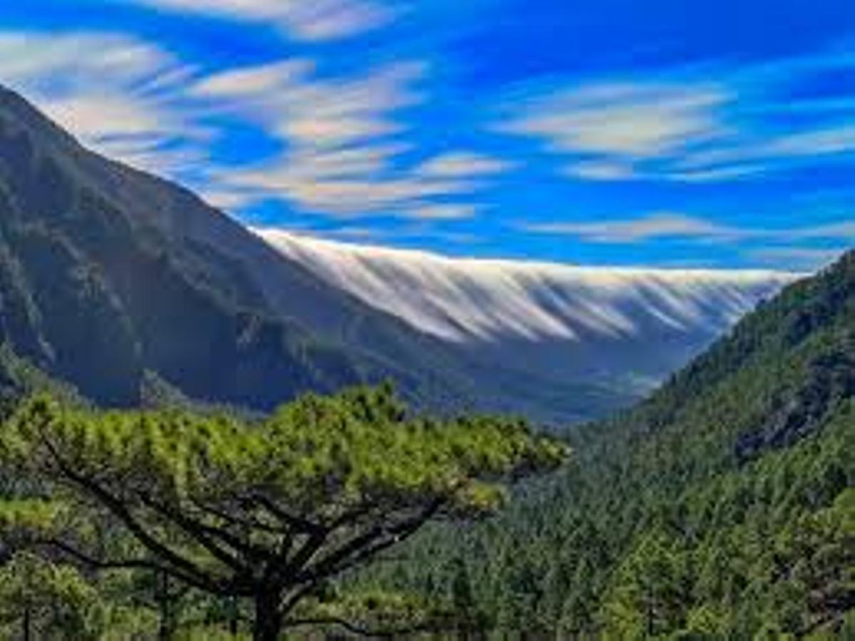 El Paso refuerza su liderazgo como destino de naturaleza con más de 240.000 registros de uso turístico vinculados a su territorio en 2025