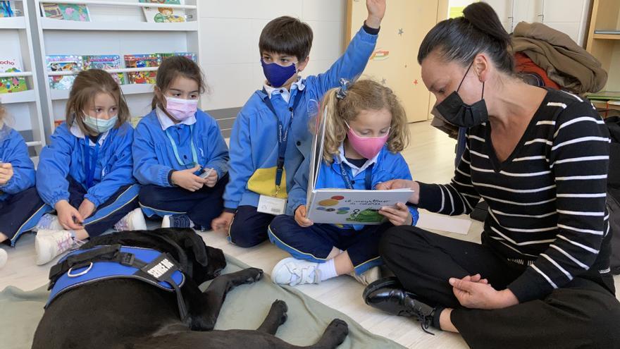 Así son las clases con &quot;Lluvia&quot;, la compañera de lectura de los niños de un colegio ovetense