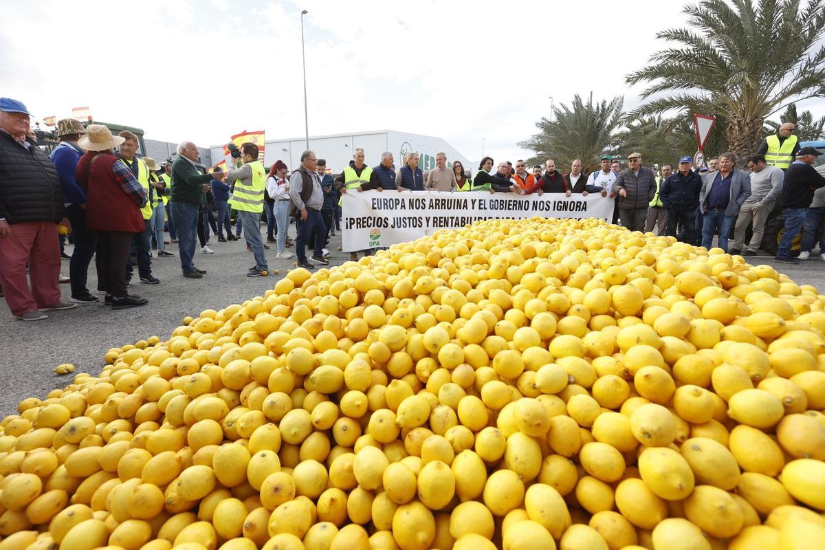 Los agricultores se concentran en tres comarcas de la provincia de Alicante en una tractorada por carreteras secundarias