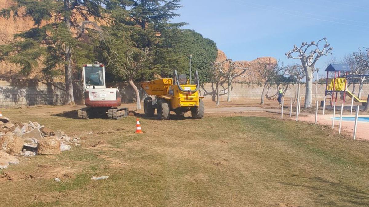 Además de renovar el césped también se van a sustituir algunos árboles.  | SERVICIO ESPECIAL