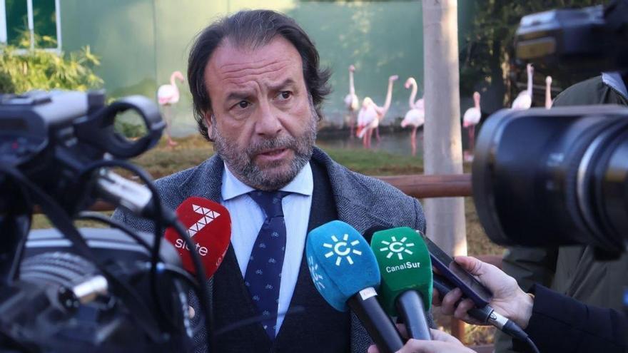 Daniel García-Ibarrola: «Córdoba debe estar a la vanguardia en la lucha contra el cambio climático»