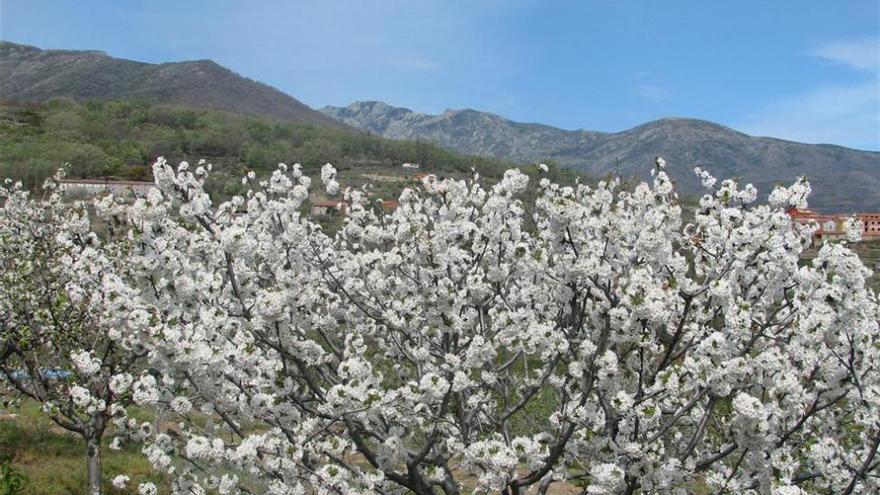 La primavera en Extremadura fue una de las más frías y húmedas de los últimos 36 años