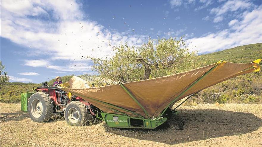 La fiebre del almendro se acaba