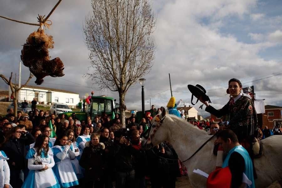 Carrera de Gallos en Fresno de la Ribera