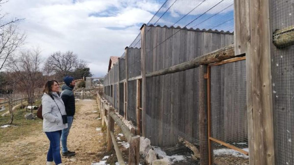 Visita de la doctora Palmira Saladié al Zoo del Pirineu