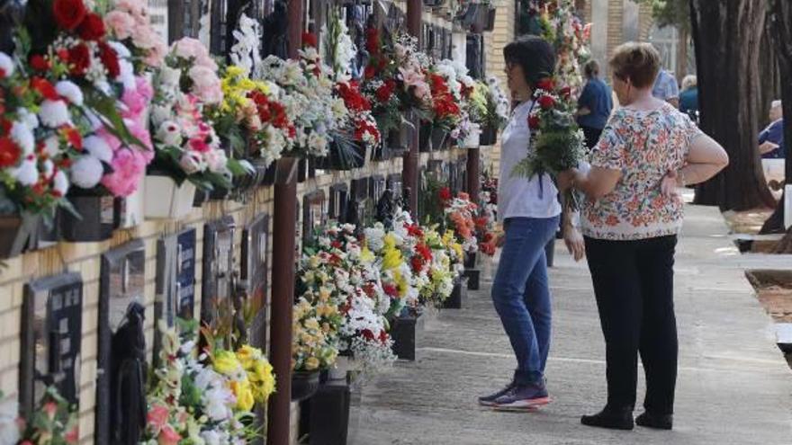 Una imagen del cementerio de Alzira que muestra la exhuberancia floral de los nichos.