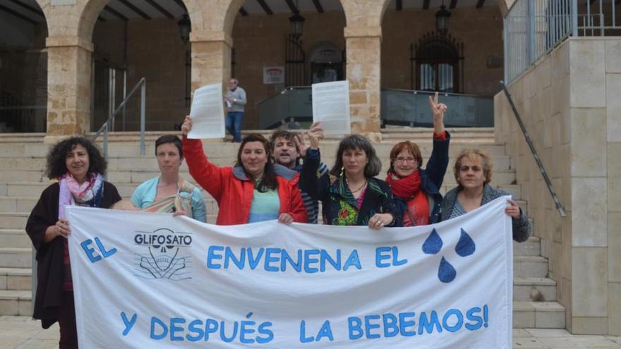 Las representantes de los grupos ecologistas, ante el consistorio.