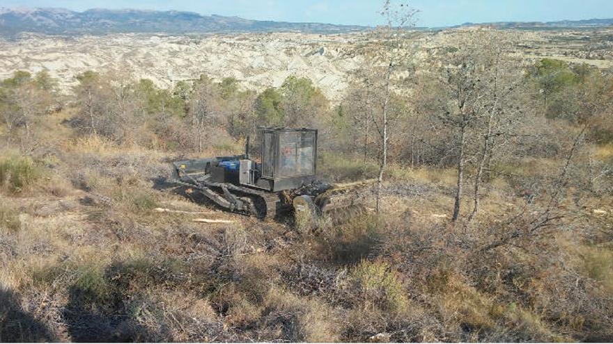 La Consejería ha utilizado máquinas especiales en los bosques para luchar contra los insectos.