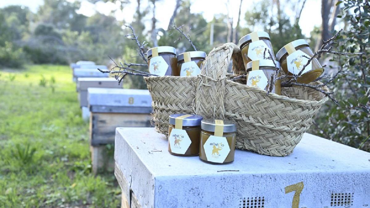 La miel ecológica que nace del Montgó