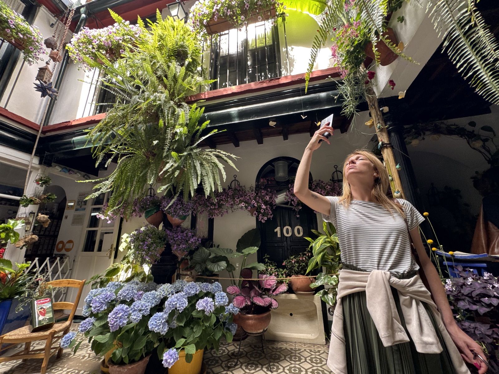 La Ruta 4 de los Patios de Córdoba, en imágenes