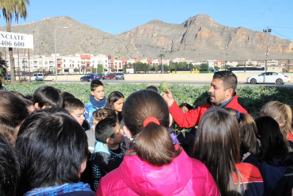 Escolares visitan la huerta y una subasta agrícola
