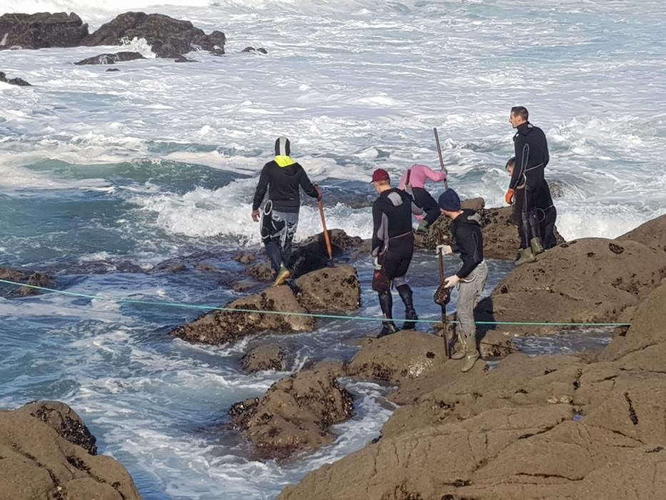 Los percebeiros, esta mañana en A Costa da Vela