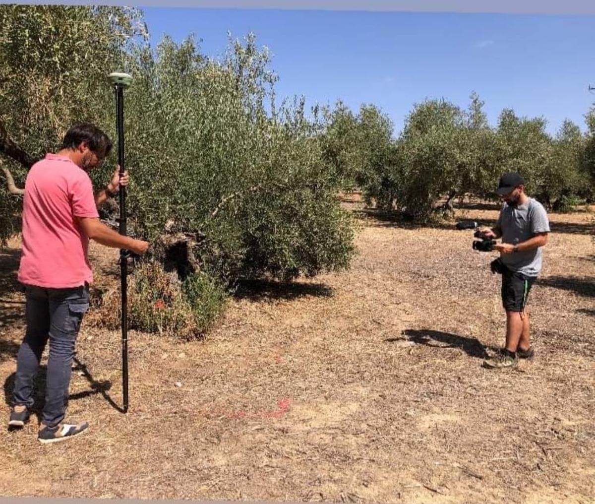 Trabajos con georradar para localizar fosas comunes en Encinas Reales.