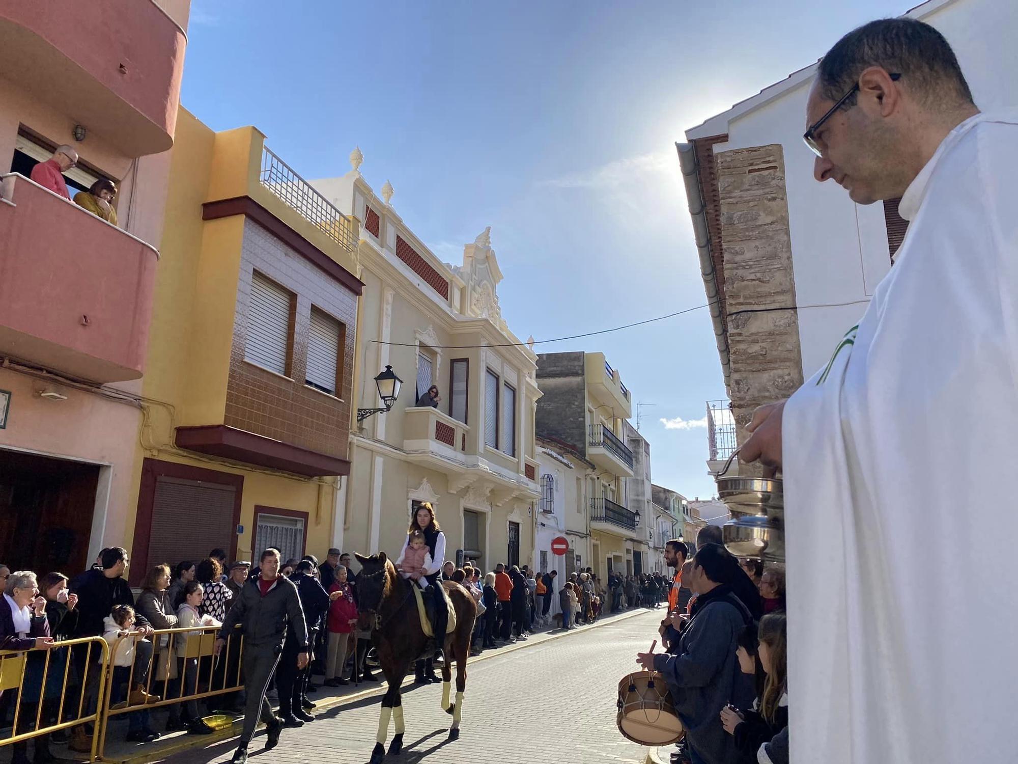 Daimús, Guardamar, Xeraco, l'Alqueria, Piles y Xeraco se vuelcan con Sant Antoni