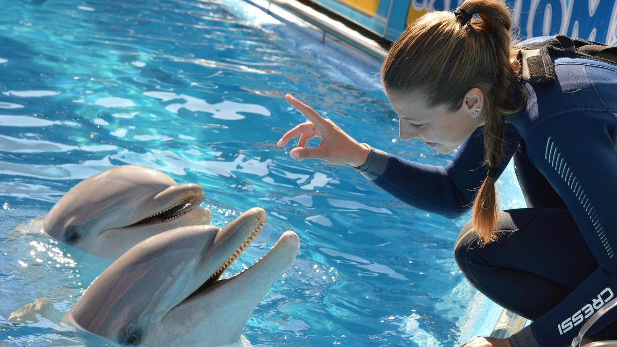 El encuentro con delfines tiene lugar de la mano de sus cuidadores.