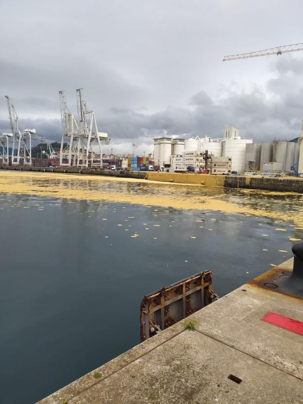 El aceite de palma mancha la ría de Vigo tras romper un tanque en el muelle de Guixar