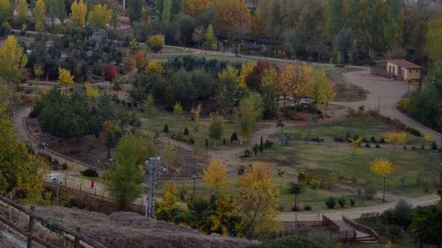 El espacio verde del Prado de las Pavas acoge este fin de semana la I Doggie Race.