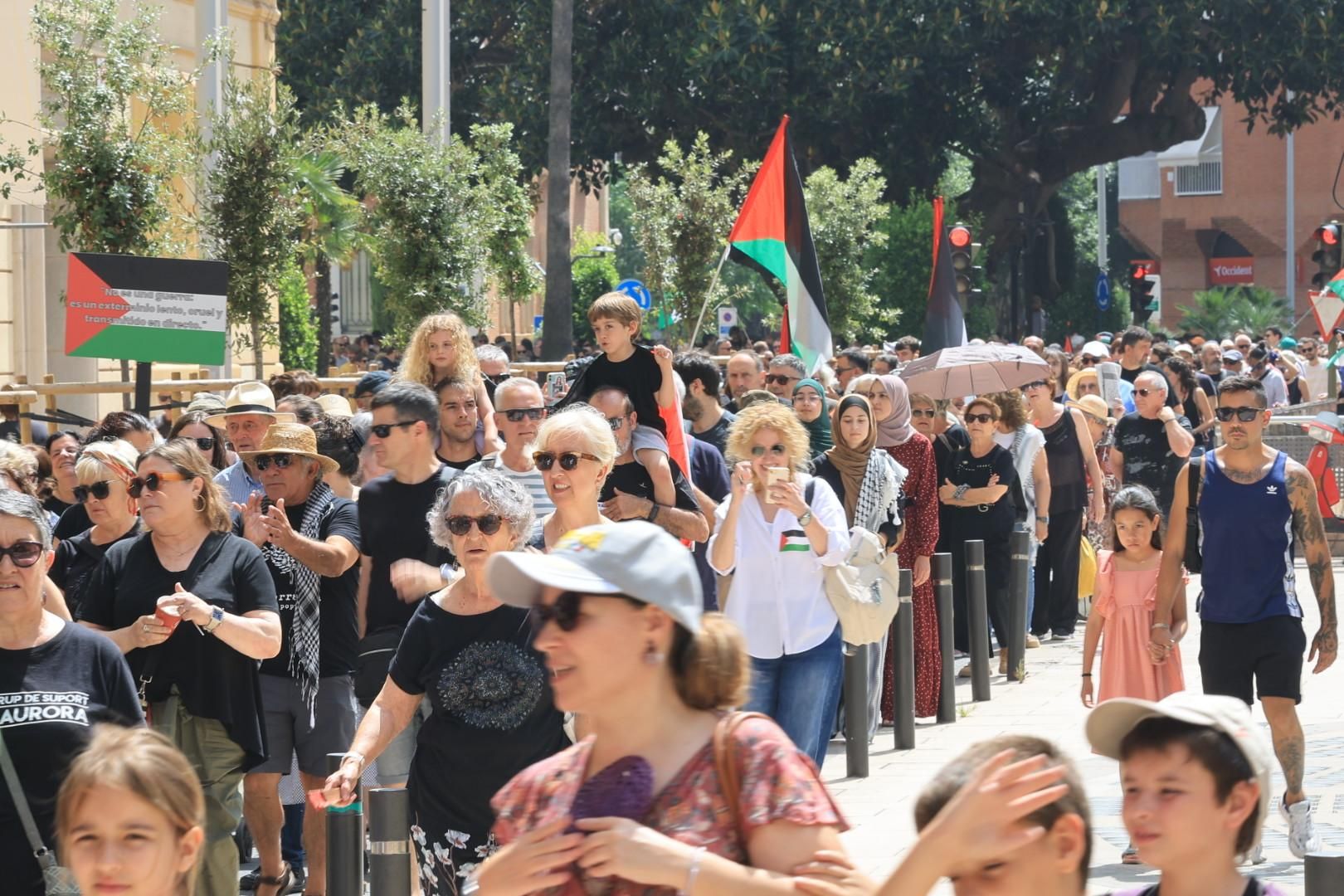 Manifestación a favor del pueblo palestino y la paz en Castellón