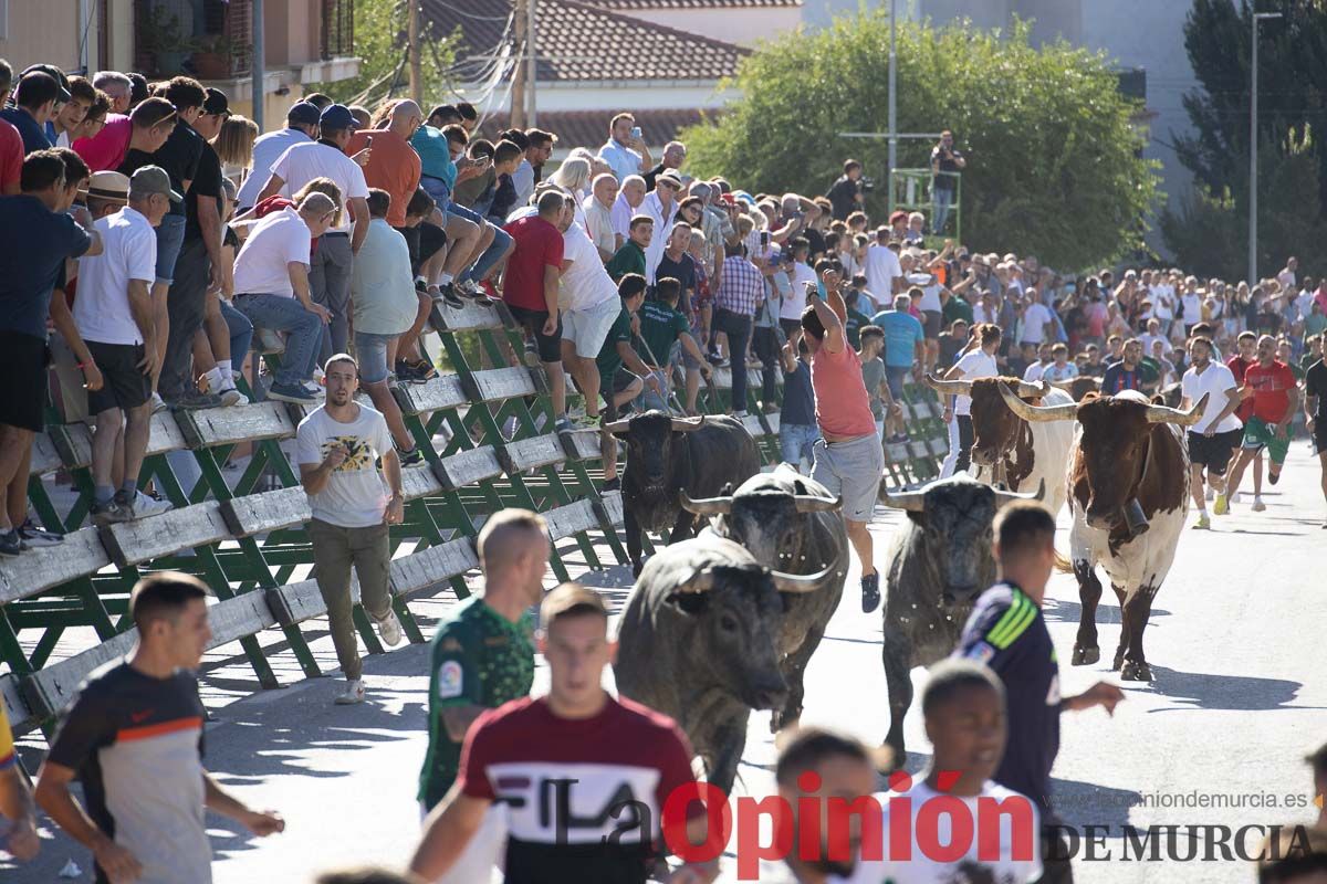 Tercer encierro Feria del Arroz en Calasparra