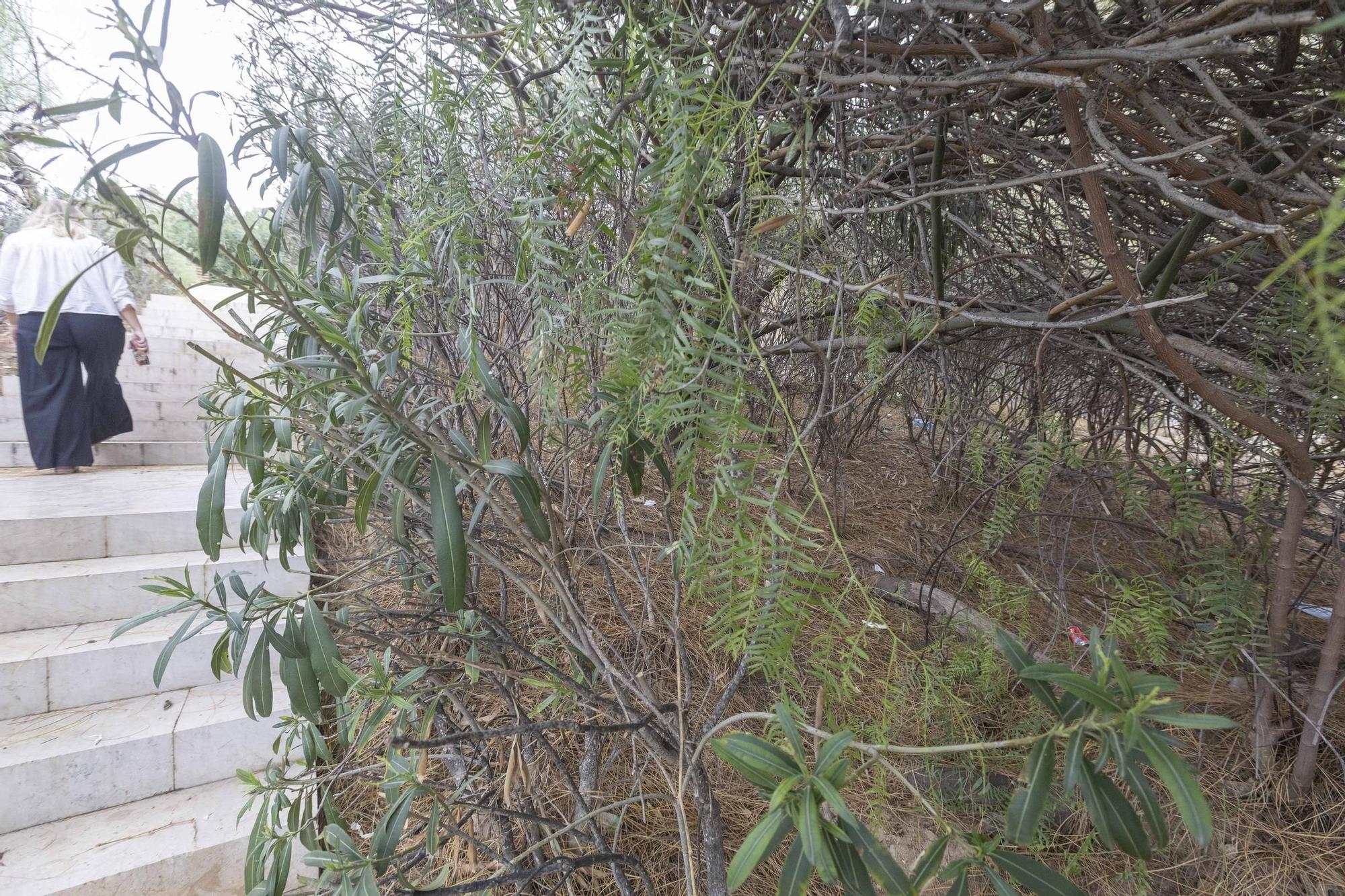 Mal estado y suciedad en el parque de la Ereta en Alicante