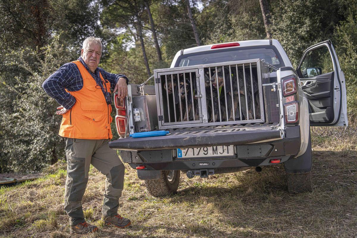 Así funciona una batida de caza en Girona: seguridad, convivencia y control del jabalí