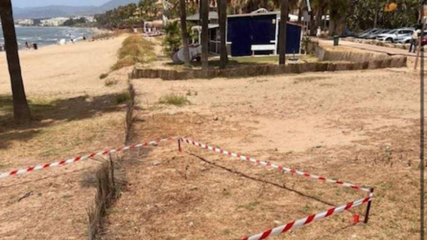 Critican la destrucción de dunas en el litoral de Marbella