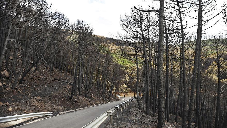 Reabren las carreteras afectadas tras el control del incendio