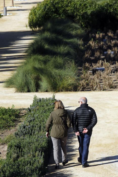 Abre el Parc Central de València