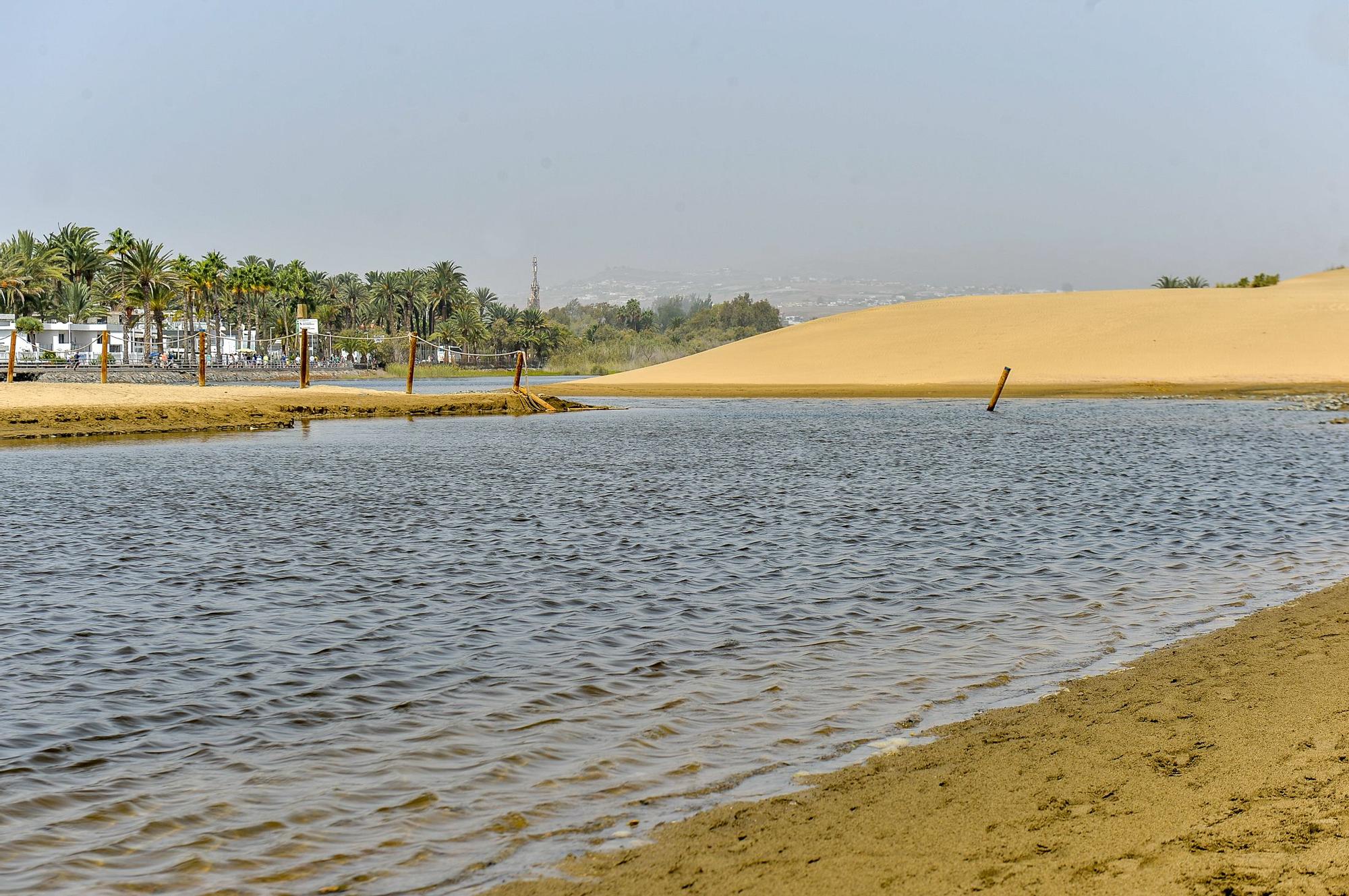 La Charca de Maspalomas después del ciclón Hermine