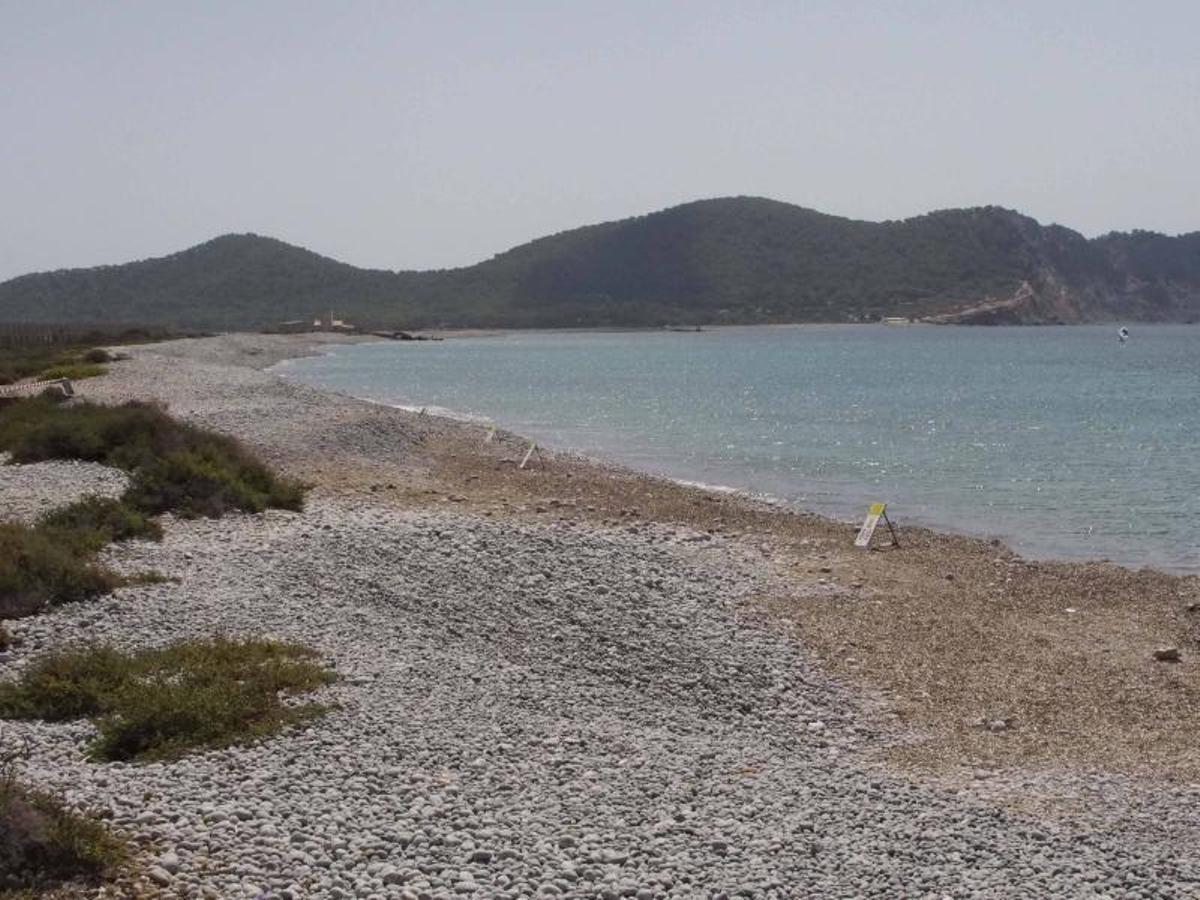 Vertidos de aguas fecales en el Parque Natural de ses Salines