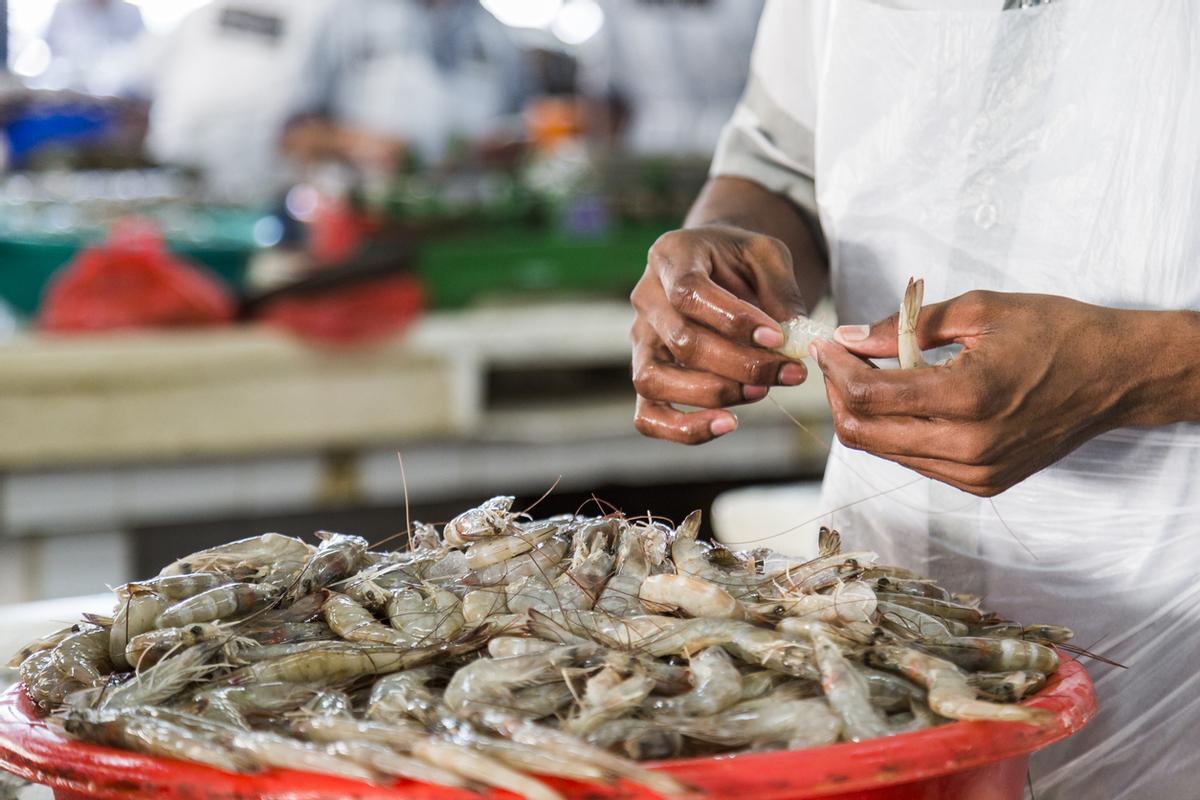 Camarones en hielo