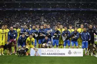 Adopta perros, pero enséñamelos.