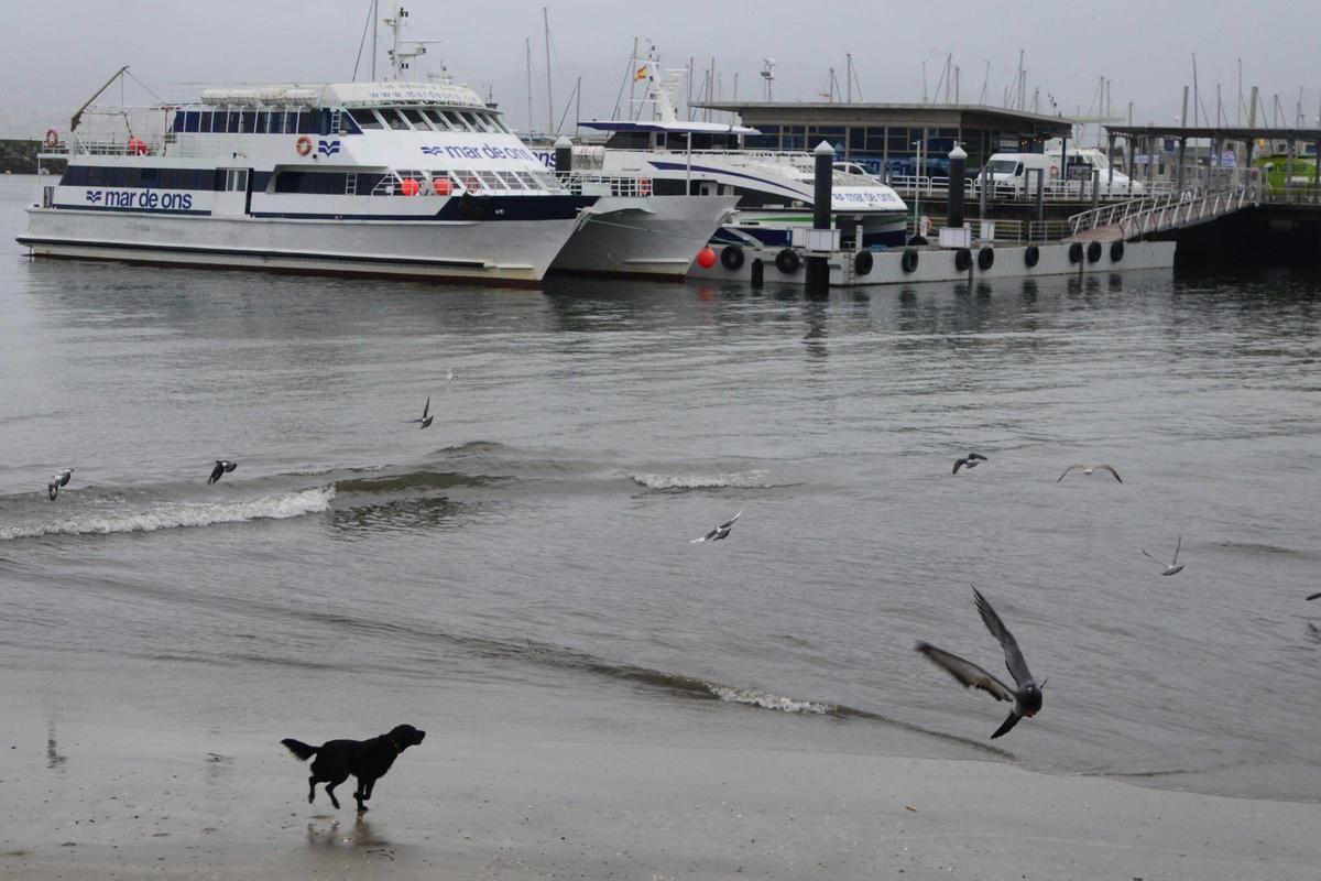 El transporte de ría, refugiado en el muelle cangués.