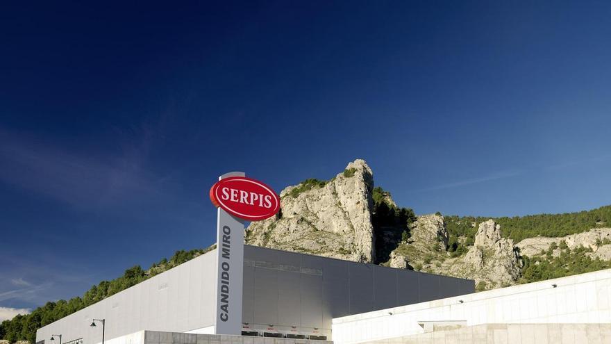 Serpis, las aceitunas más conocidas con cien años de historia desde Alcoy