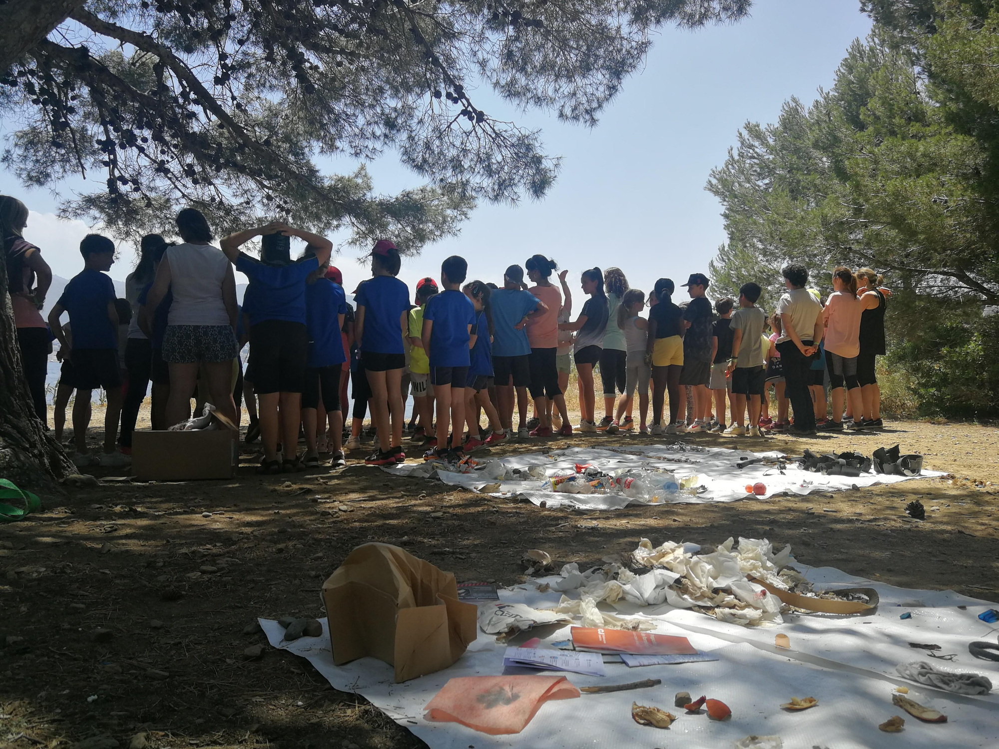 Les escoles verdes de l’Alt Empordà recullen brossa en una platja de Llançà