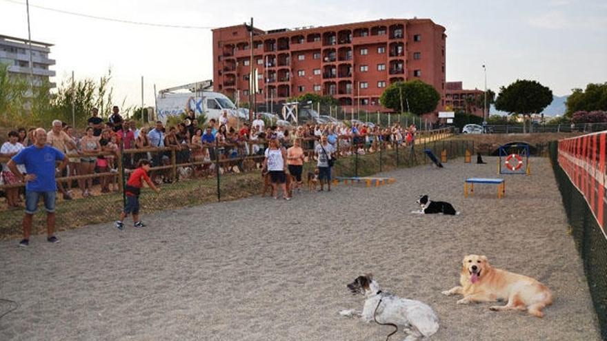 Una imagen del parque canino de Fuengirola.