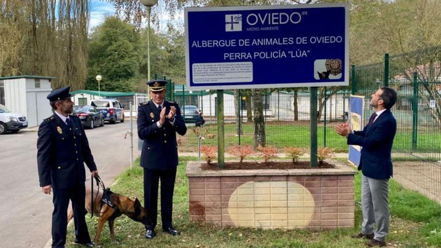 La perra &quot;Lúa&quot;, que durante doce años trabajó para la Policía en Asturias, dará nombre al albergue de animales de La Bolgachina