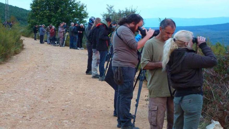 Un grupo de turistas trata de observar el lobo en La Culebra el pasado mes de octubre.