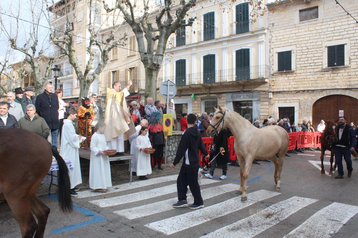 Beneïdes en Binissalem.