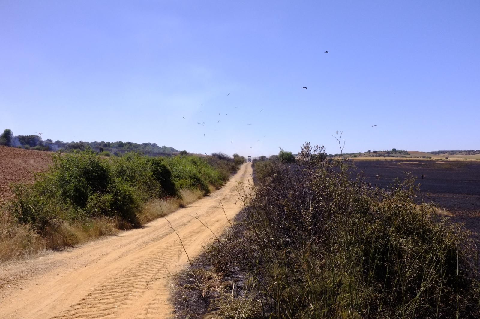 GALERÍA | El incendio forestal de Manganeses de la Polvorosa en imágenes