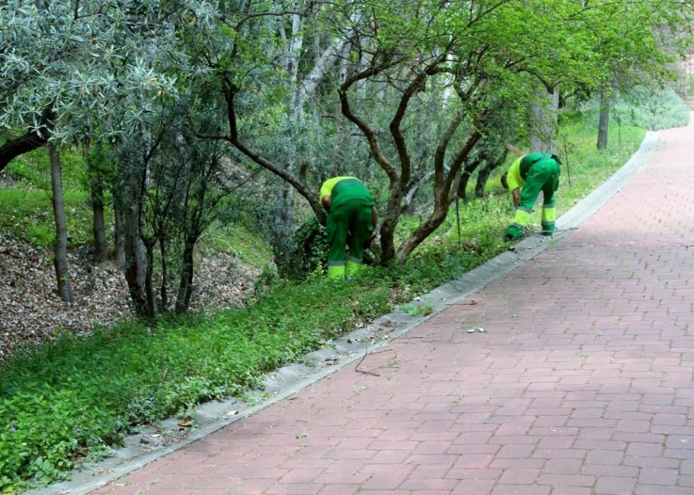 Floración en el Jardín de La Concepción.