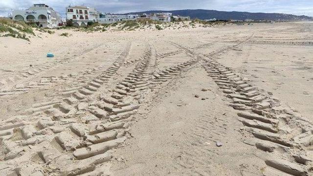 Polémica en Zahara de los Atunes tras fumigar una playa con lejía