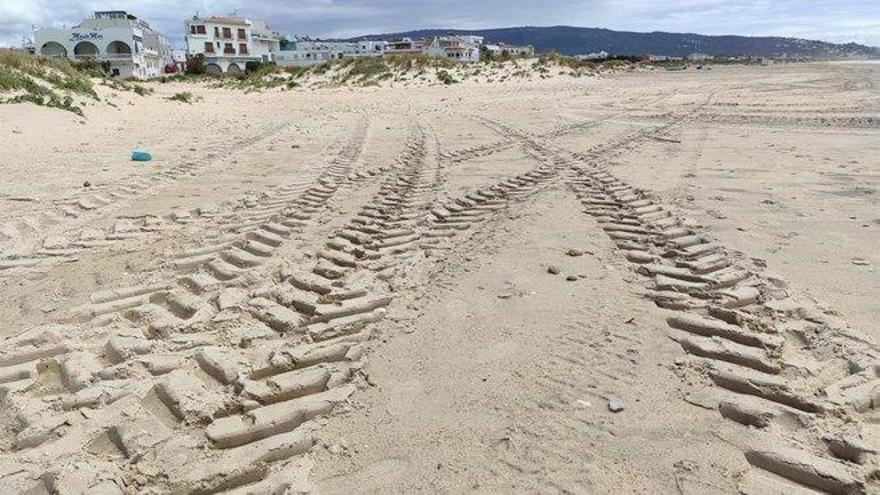 Polémica en Zahara de los Atunes tras fumigar una playa con lejía