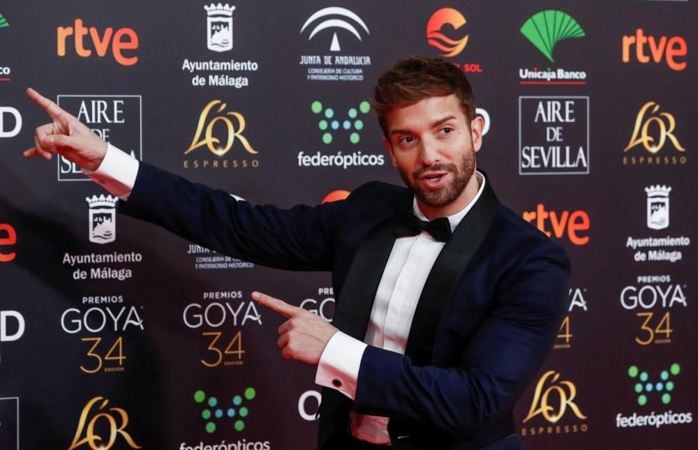 Alfombra roja de los Premios Goya 2020.