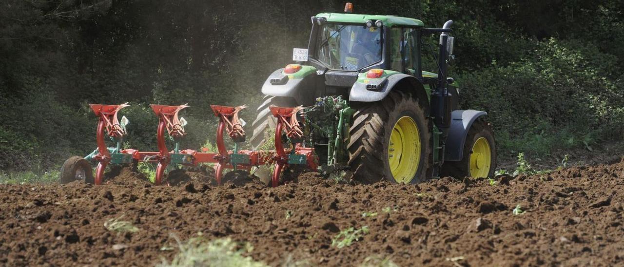 Un tractor prepara una finca en Oirós, en Vila de Cruces, para sembrar maíz. |   // BERNABÉ/JAVIER LALÍN